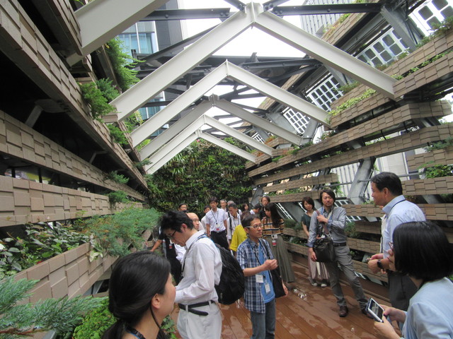 屋上緑化庭園見学