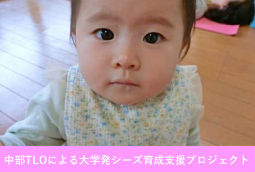 WEB公開画像より抜粋